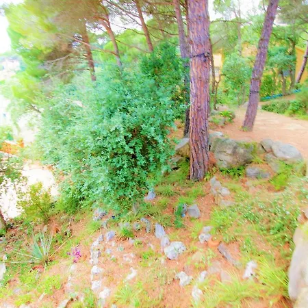 V&V Lloret-Villa Petonet